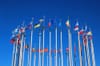 OEM focus on larger EVs 'hindering' EU adoption