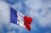 France suspends EV leasing scheme